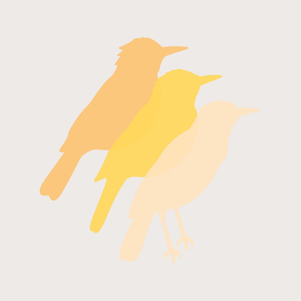 CRFT - "oriole"